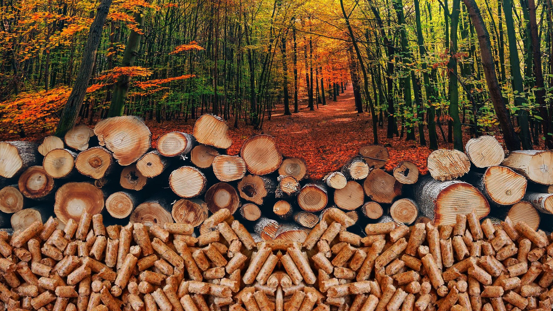 Granulés de bois - 1 sac de 15 kg : Granulés de bois de haute qualité et  haute performance - Combustion propre et écologique - Cendres minimales -  Économique et durable.